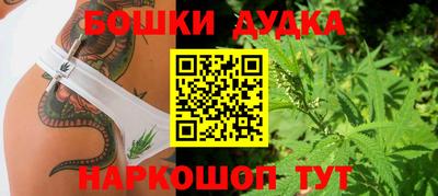 крисы Пушкино