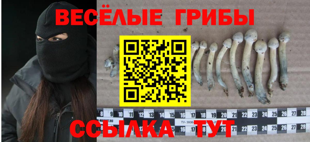 Псилоцибиновые грибы мухоморы Сухой Лог